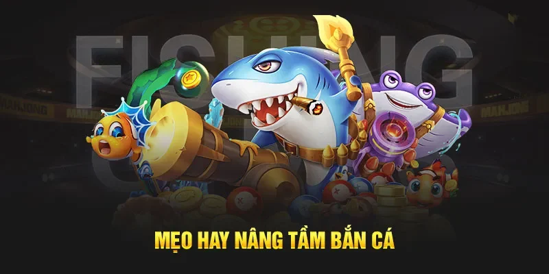 Một số lý do nên tham gia săn cá